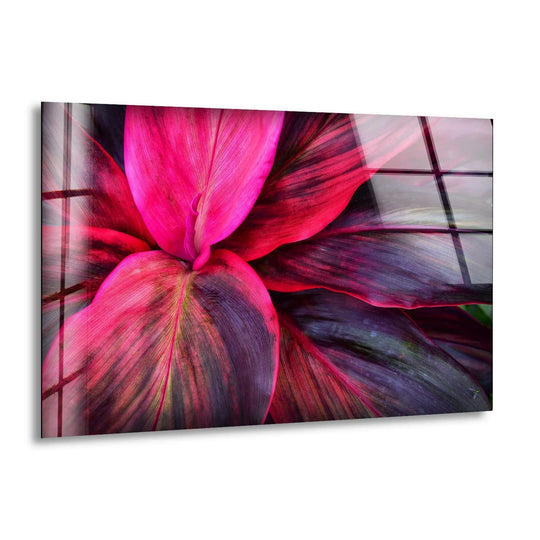 Intense color saturation illuminates the pink botanical leaves within this vivid glass wall art decor, highlighting the plant's rich tones and intricate details.