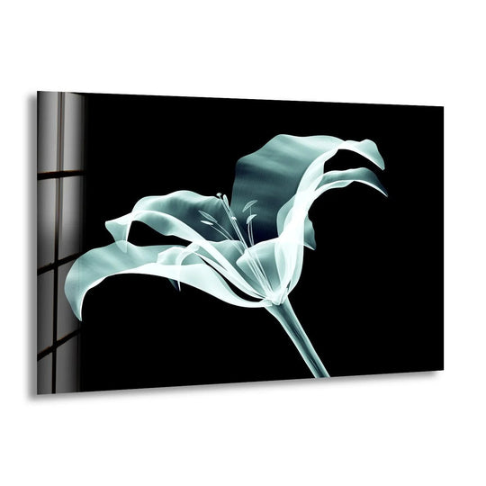 An x-ray lily showcases ethereal layers of translucent petals on this striking home decor piece.
