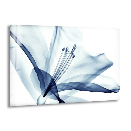 Glass printing of a blue xray flower with flowing petals creating a delicate visual rhythm.