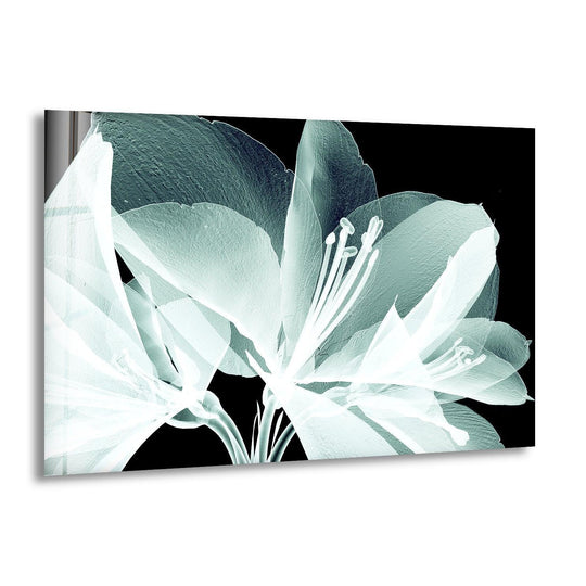 An ethereal X-ray close-up of amaryllis blooms seems to dance and sway in this captivating glass wall art, showcasing movement in delicate petal forms.