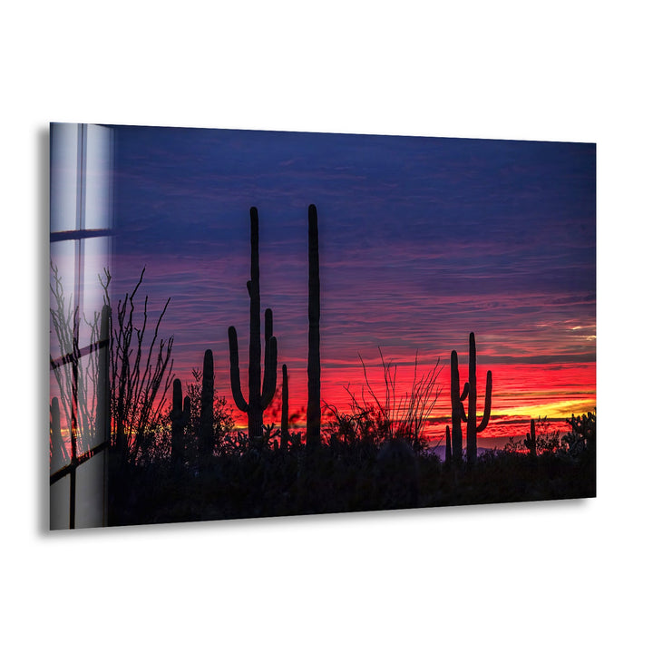 Nature art prints filled with vibrant colors and intricate details celebrating the beauty of the wild

