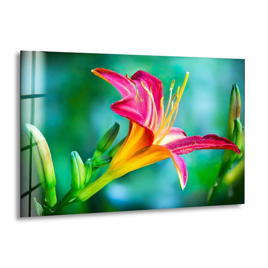 A striking closeup of a vibrant pink and orange lily, showcasing its delicate finish, on hanging wall art.