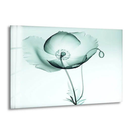 X-ray image of a poppy glass wall art showcasing high contrast between the pale petals and dark central structures.