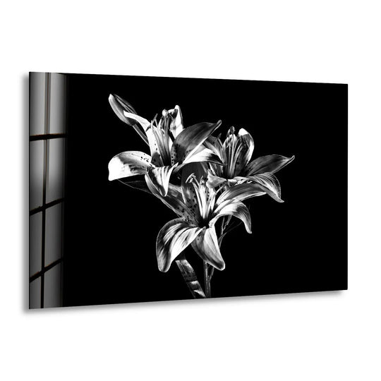 Elegant black and white lily trio captured in high-contrast floral glass wall art.