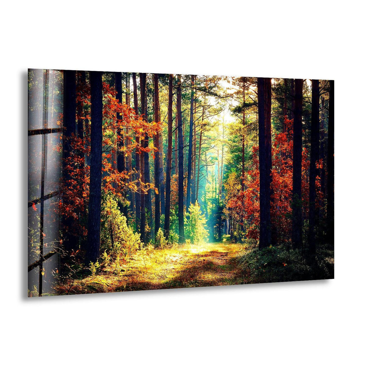 Illuminating a sunlit path through the trees, this nature green forest glass hanging wall art captures the forest's focal point in a serene landscape.