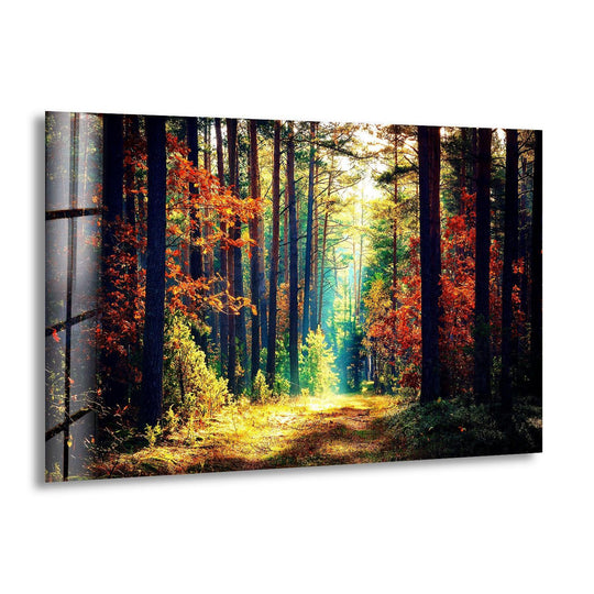 Nature Green Forest glass wall art shows a sunlit landscape in green and orange tones and ideal as forest wall art and serene forest escape decor and bringing nature indoors