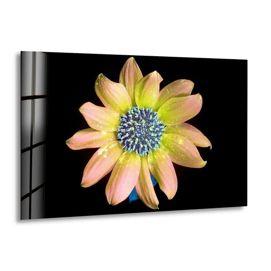 Radiating energy from its core, the sparkling photos of flowers glass art appears to bloom outward, showcasing dynamic movement in this luminous glass art print.
