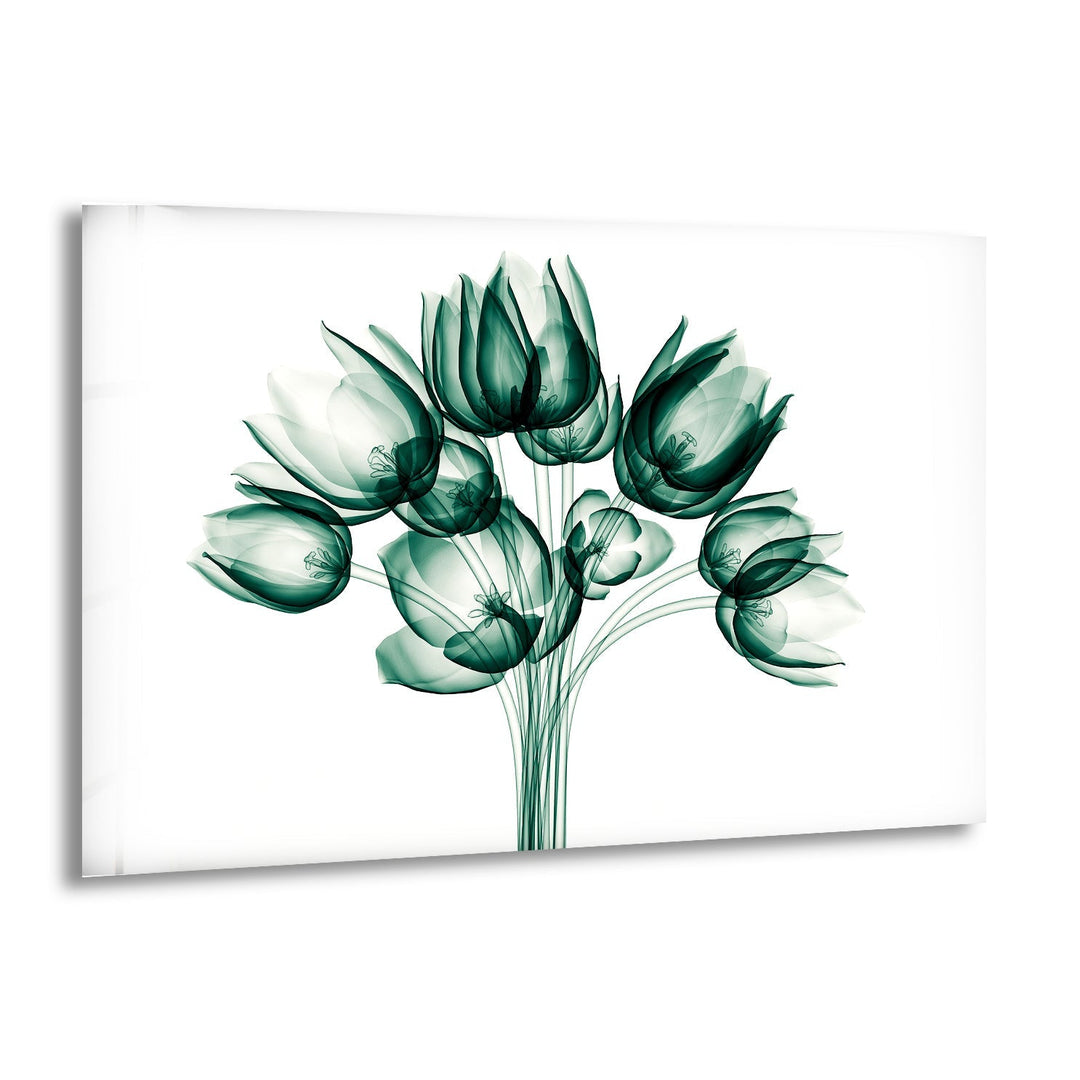 X-ray Image Of A Flower Glass Wall Art, print picture on glass, Tempered Glass Wall Art