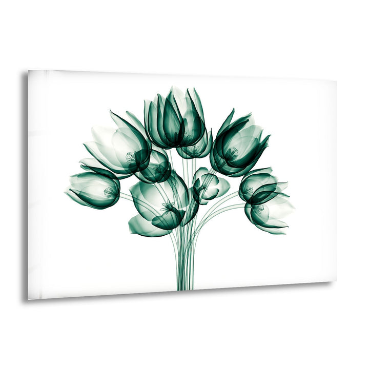 X-ray Image Of A Flower Glass Wall Art, print picture on glass, Tempered Glass Wall Art