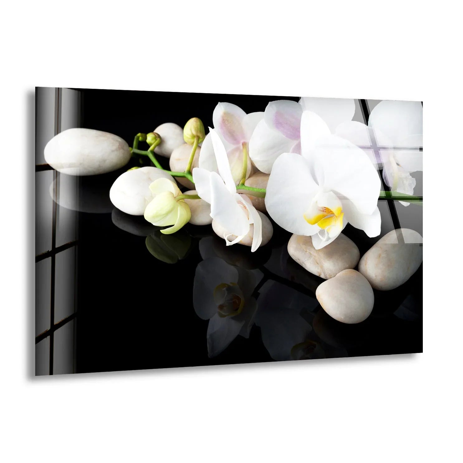 Orchid Wall Art Prints & Orchid Flower Artworks – MyPhotoStation