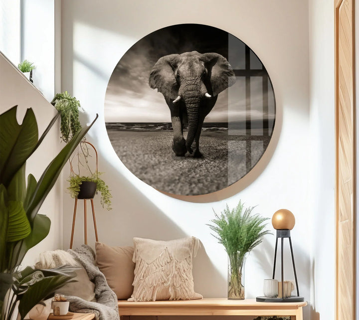 Majestic Elephant on the Beach Glass Wall Art – Black and White Animal Decor - MyPhotoStation