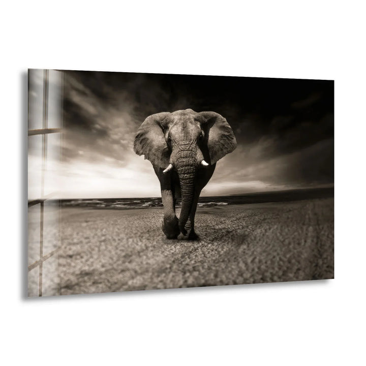 Majestic Elephant on the Beach Glass Wall Art – Black and White Animal Decor - MyPhotoStation