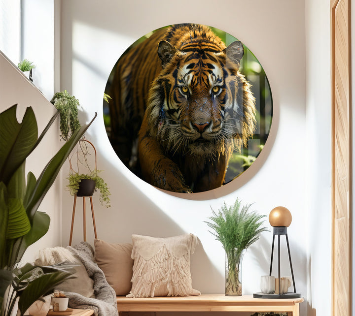 Wilder Tigerblick Wandkunst – Wildes Dschungel-Raubtier-Glasdruck-Dekor