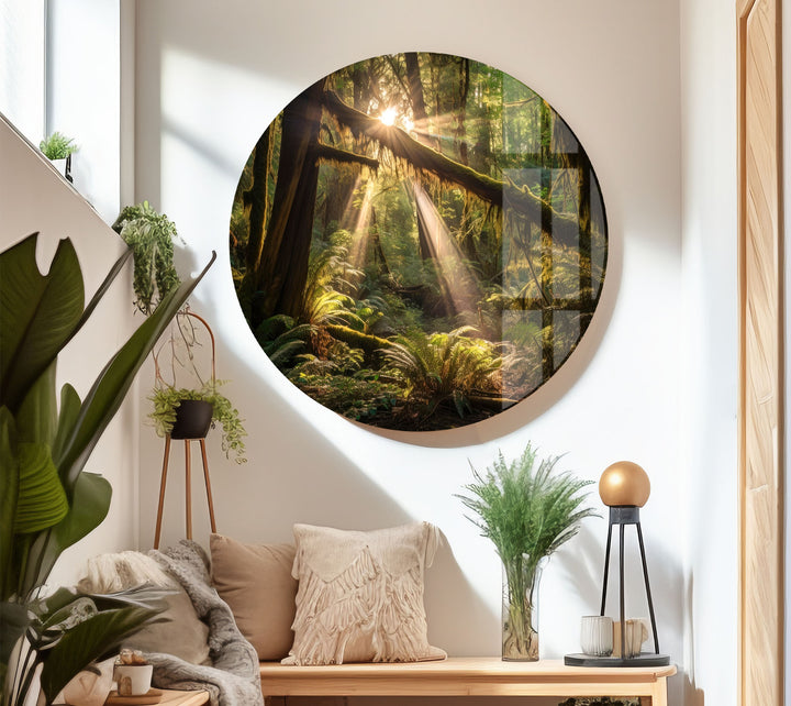 Enchanted Forest Wall Art – Sunlight Through Trees Glass Print for Nature-Inspired Decor