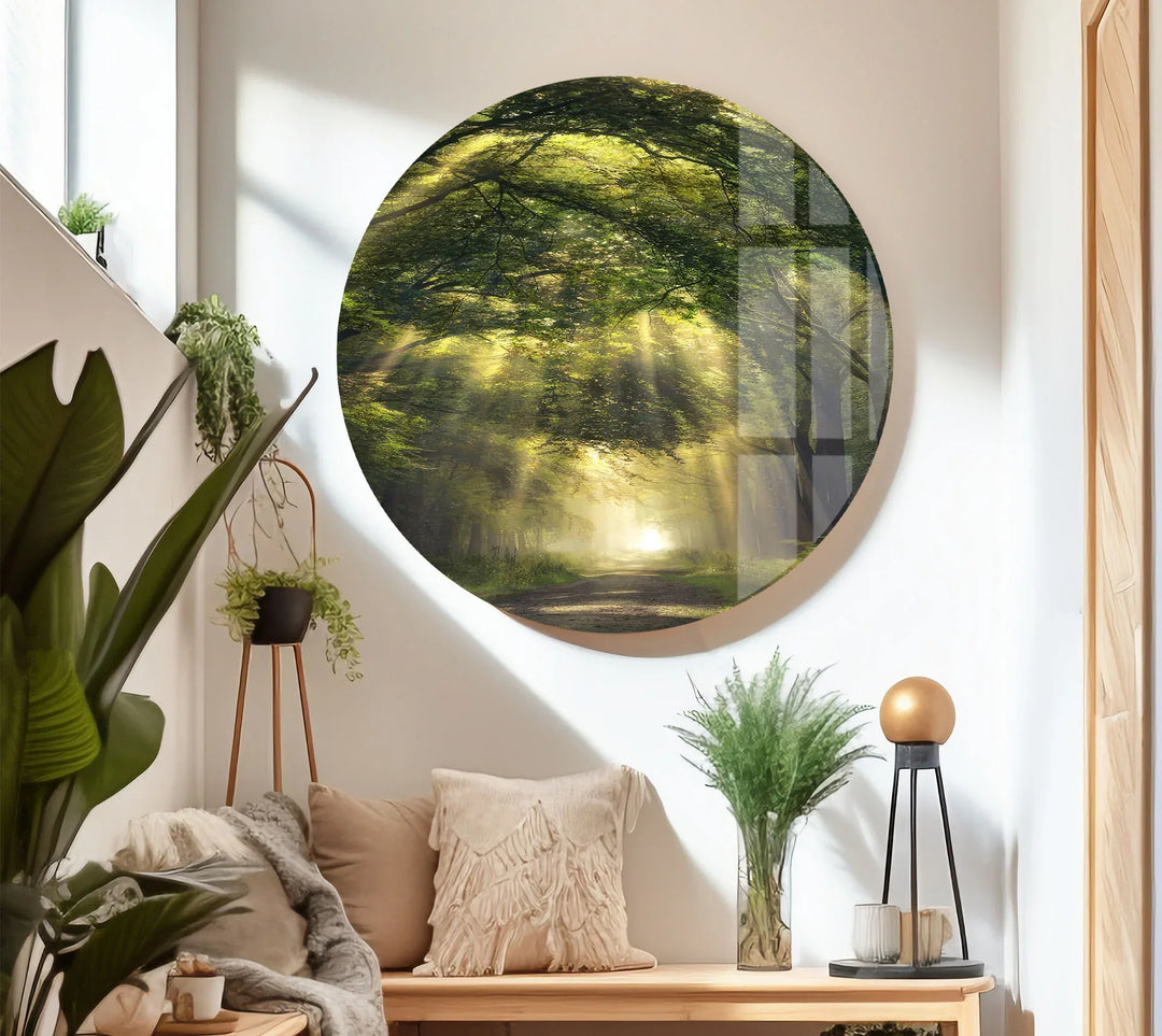 Forest Light Path Glass Wall Art – Serene Green Nature Print for Relaxing Decor - MyPhotoStation
