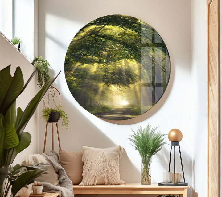 Forest Light Path Glass Wall Art – Serene Green Nature Print for Relaxing Decor - MyPhotoStation