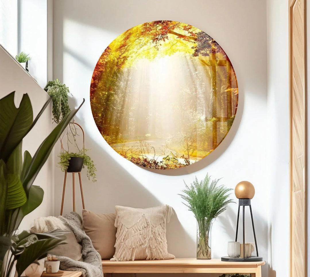 Golden Forest Sunbeam Wall Art – Radiant Nature Glass Print for Warm Home Decor - MyPhotoStation
