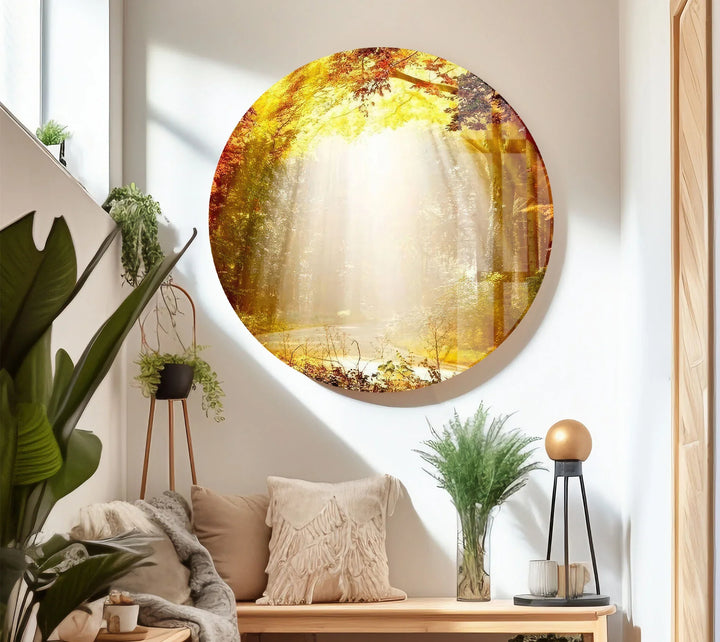 Golden Forest Sunbeam Wall Art – Radiant Nature Glass Print for Warm Home Decor - MyPhotoStation