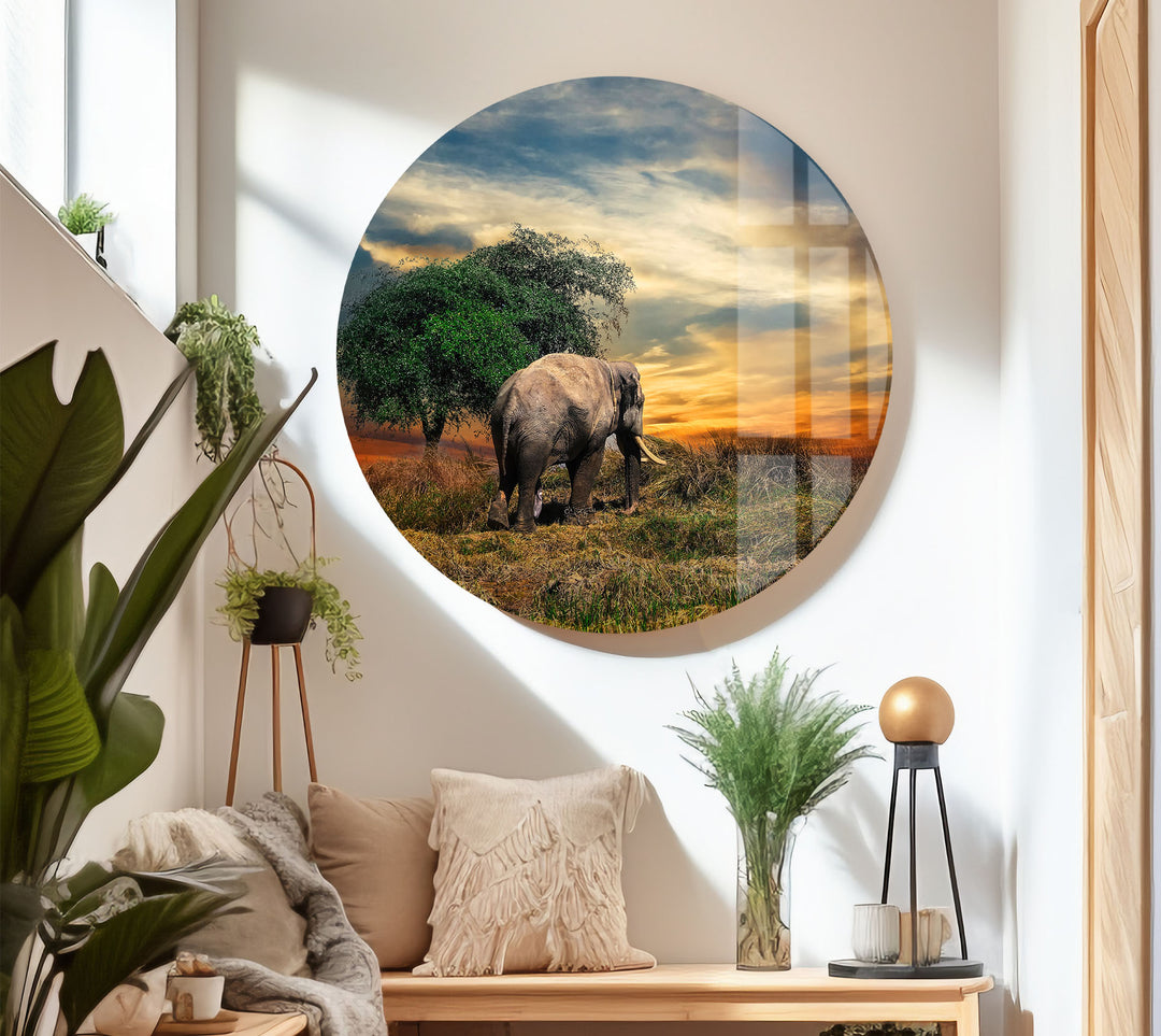 Elephant at Sunset Safari Wall Art – African Landscape Glass Print