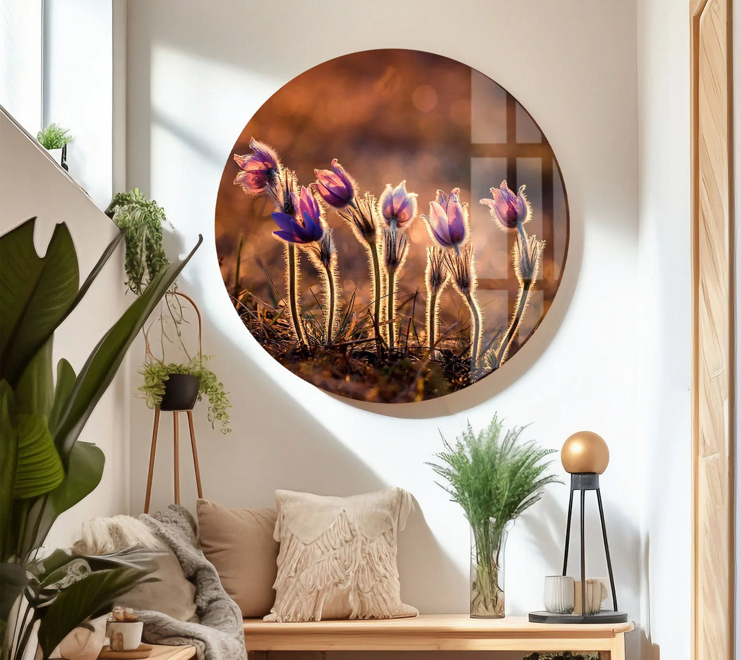 Sunlit Wildflower Wall Art – Purple Spring Bloom Glass Print with Golden Hour Glow for Cozy, Nature-Inspired Interiors - MyPhotoStation