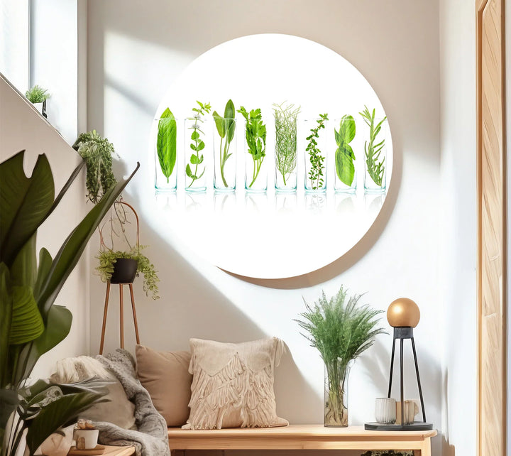 Modern Kitchen Herb Wall Art – Fresh Green Culinary Herbs in Glass Jars Print - MyPhotoStation