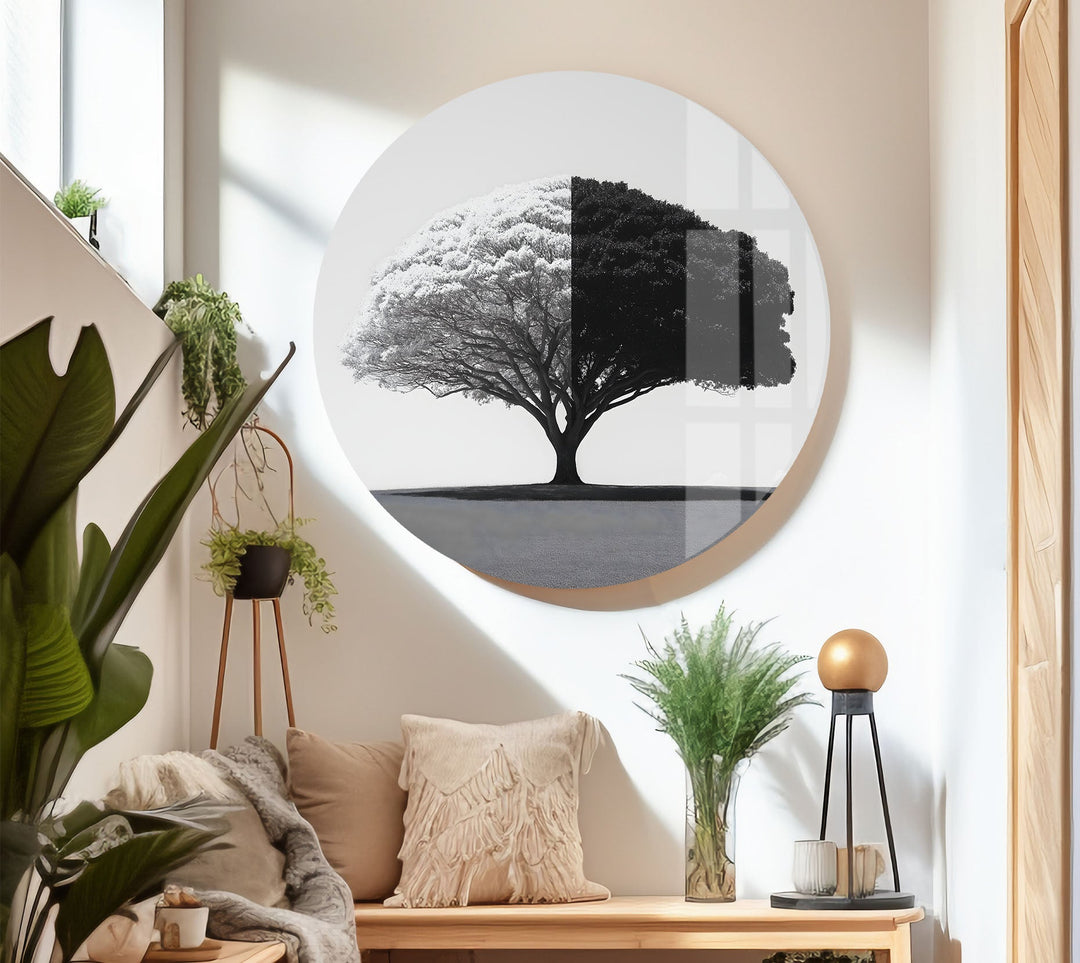 Black and White Tree Glass Wall Art photo print on glass, prints on glass wall art
