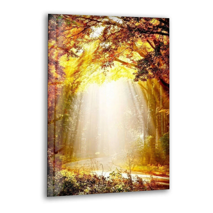 Golden Forest Sunbeam Wall Art – Radiant Nature Glass Print for Warm Home Decor - MyPhotoStation