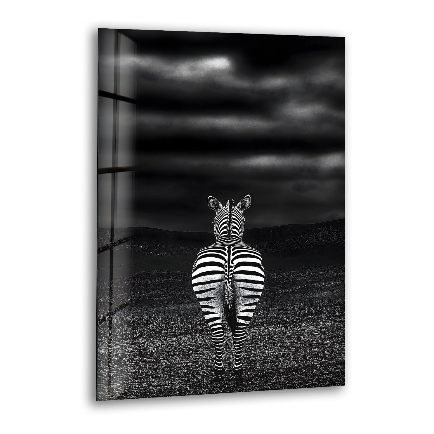Rear View Zebra Glass Wall Art glass wall decor, glass wall art decor
