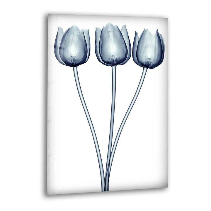 Three Tulips Wall Art – Minimalist Floral Glass Print Décor