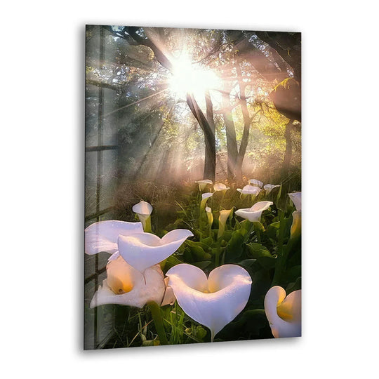 White Lily Forest Wall Art – Sunlit Flower Glass Print, Peaceful Botanical Nature Decor for Bedroom or Living Room - MyPhotoStation