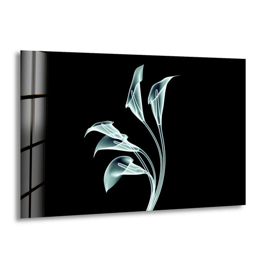 Black highlights the elegant calla lily wall art and minimalist floral design through unique glass printing.