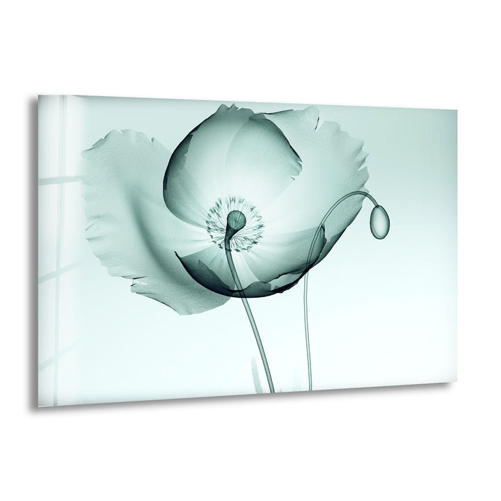 Zarte Mohnblumen-Wandkunst – Elegantes minimalistisches Glasblumendekor 