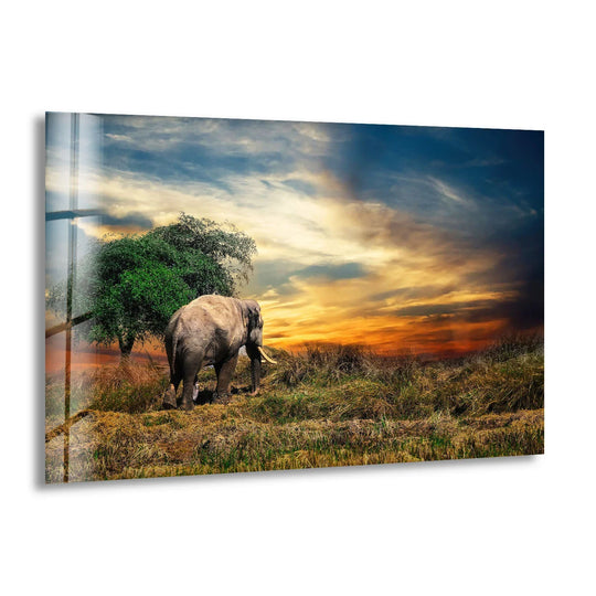 An elephant stands in the vast negative space of a sunset safari landscape, part of this stunning print wall art.