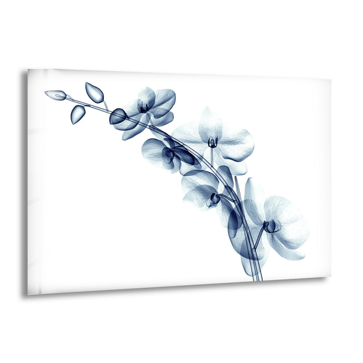 Blue Orchid Wall Art – Transparent Floral Glass Artwork for Home