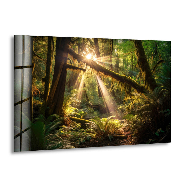 Enchanted Forest Wall Art – Sunlight Through Trees Glass Print for Nature-Inspired Decor