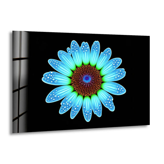Blue Daisy Flower Wall Art – Luminous Glass Print on Black Background with Water Droplet Detail for Modern Interiors - MyPhotoStation