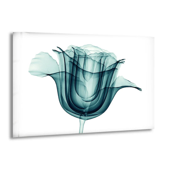 Centered, the focal point highlights the modern glass flower art print with its transparent layers, showcasing the rose's beauty as tempered glass wall art.