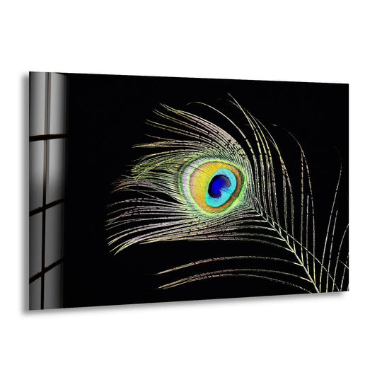 Vibrant peacock feather glass wall art decor features a glossy finish with iridescent blues and greens.
