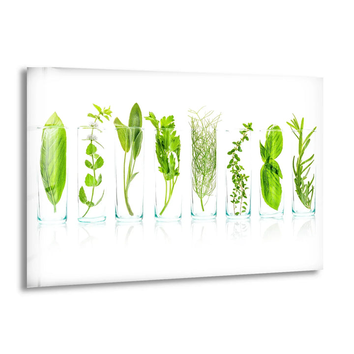 Modern Kitchen Herb Wall Art – Fresh Green Culinary Herbs in Glass Jars Print - MyPhotoStation