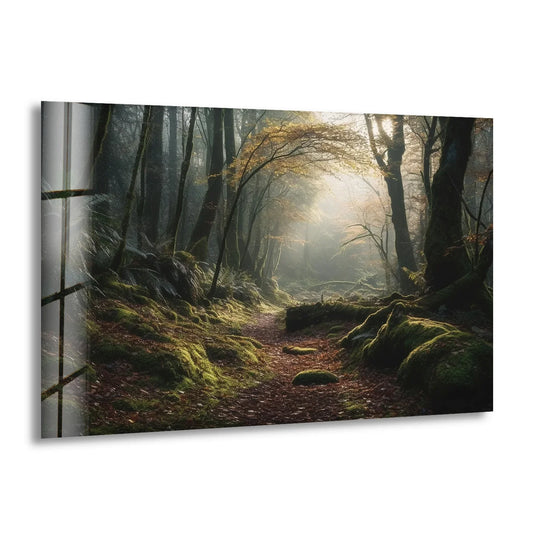 Mossy rocks and sunlight define this misty forest path wall art print, creating stunning wall art prints with an enchanting and tranquil nature scene.