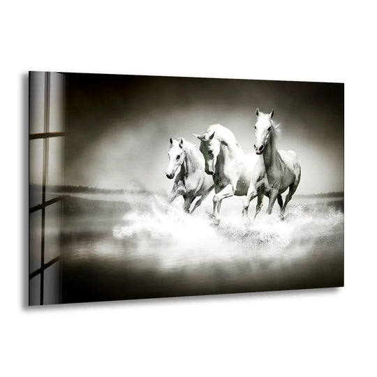 Animal glass wall art features riding white horses and monochrome beauty plus tempered glass elegance and dynamic decor