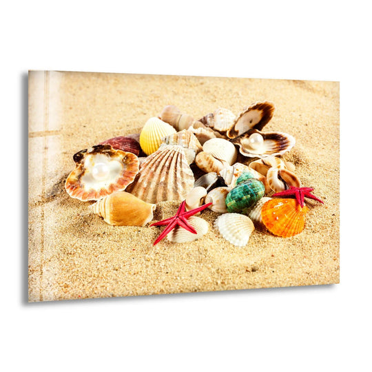 A stunning close-up of seashells and starfish resting on a golden sandy beach.
