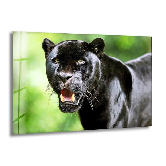 Intense black panther portrait on glass printing shows a layered effect with a blurred green background.
