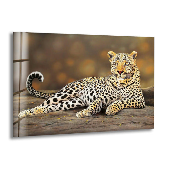 A close-up of a resting leopard on a rock showcases its spotted fur, a detail perfect for this home decor glass art.