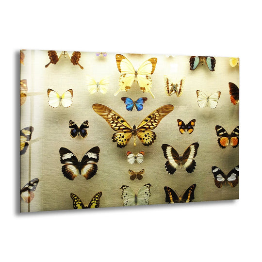 Butterfly Collection Glass Wall Art print picture on glass, Tempered Glass Wall Art