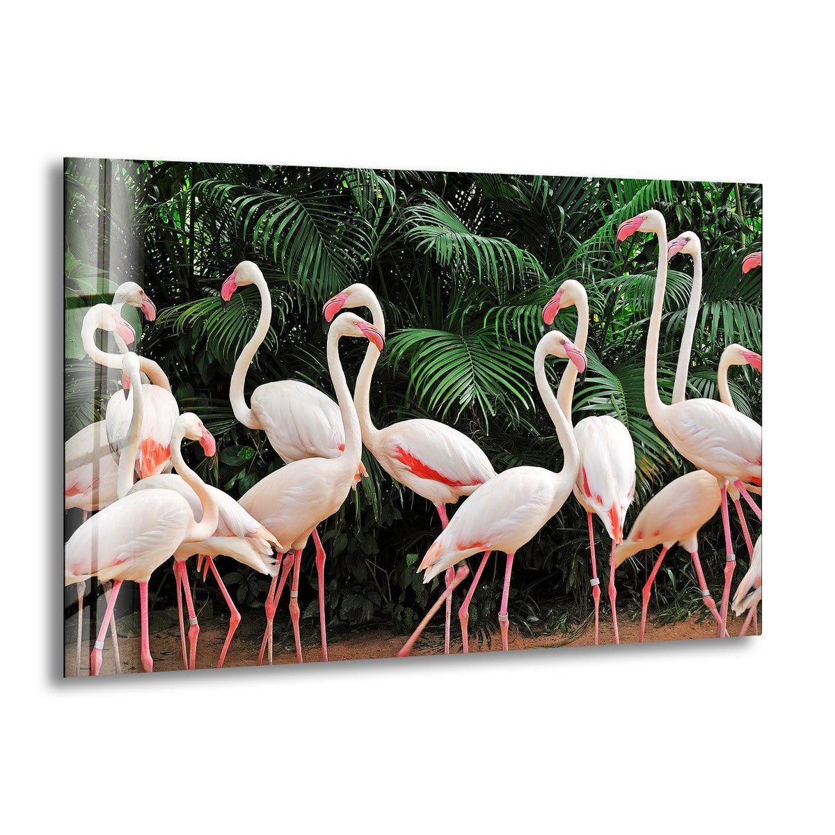 A horizontal group of elegant white flamingos stands in lush green foliage, a stunning glass wall art print.