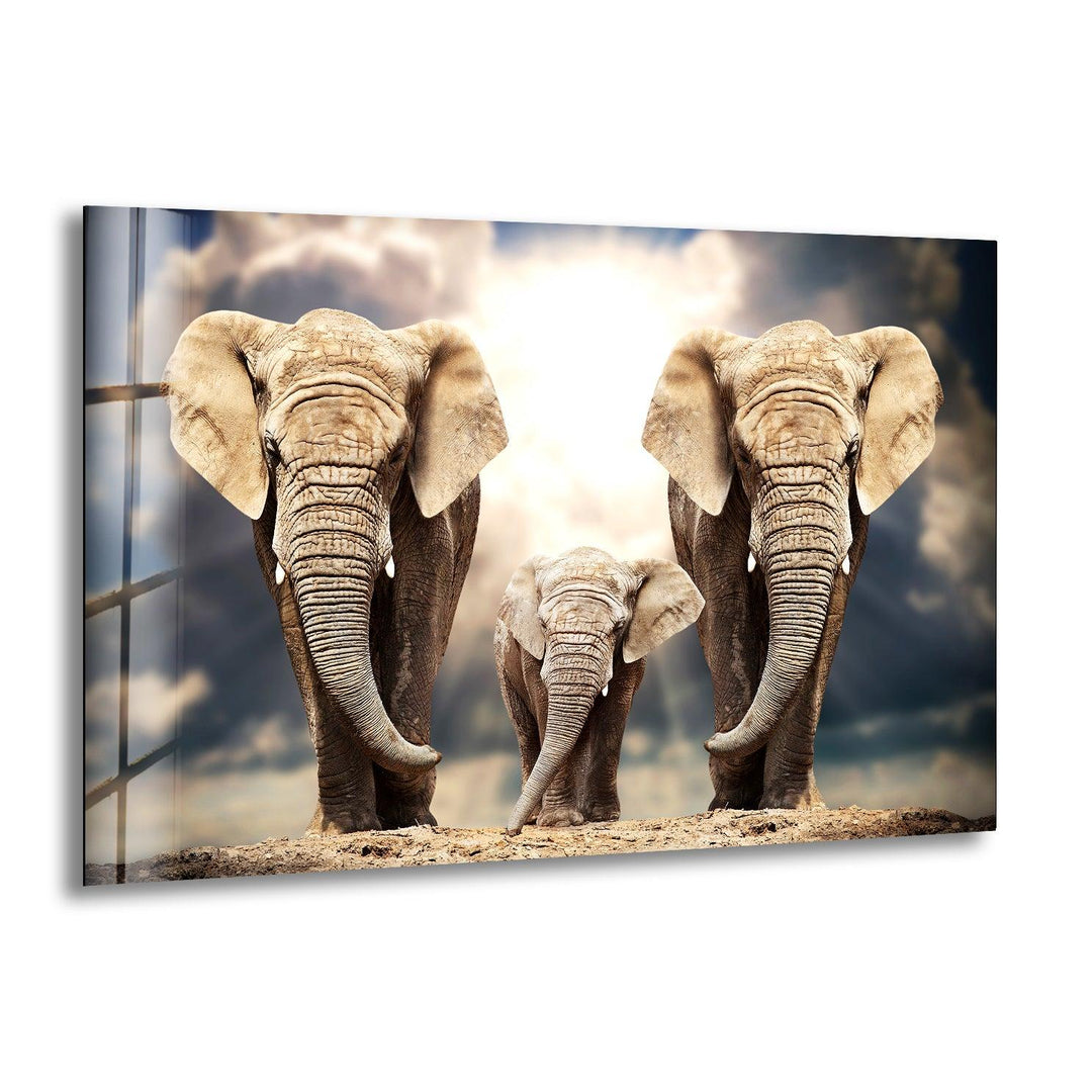 Safari Elephant Family Glass Wall Art large glass photo prints, glass wall photos