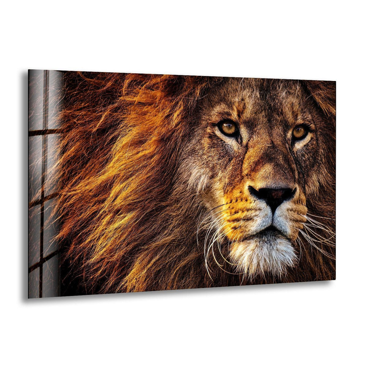 Close-up of a majestic lion's face as captivating glass wall artwork.