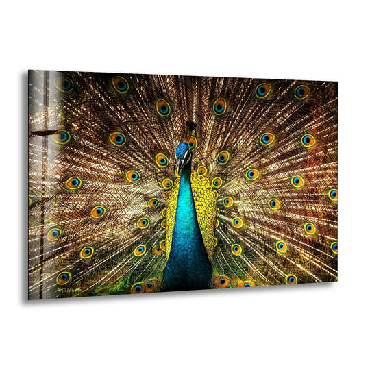 Vibrant peacock glass wall art features an animal subject and vibrant colors and is nature decor and stunning animal art