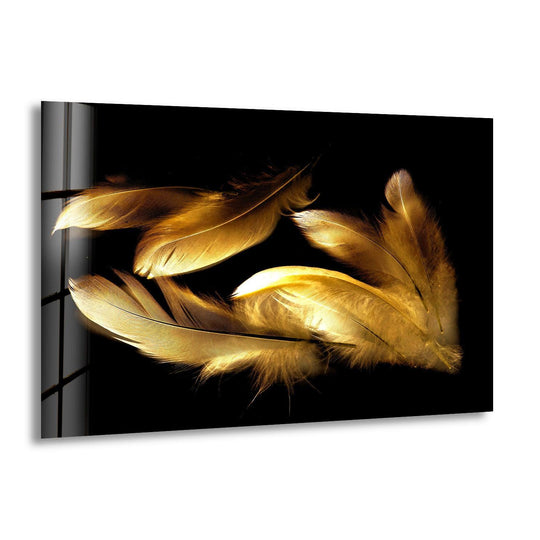 Loudest element glass wall artwork of luminous gold feathers scattered across a stark black background.